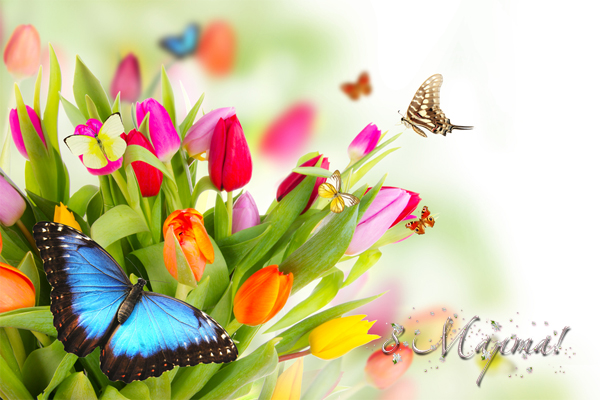 С праздником весны!